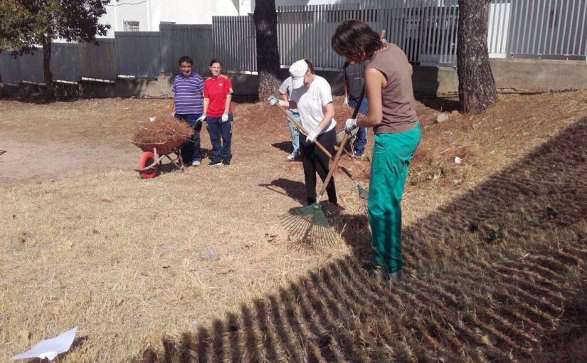 Centro Ocupacional#2