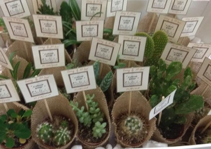 Centro Ocupacional#5