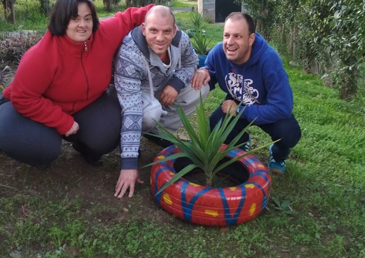 Centro Ocupacional#7