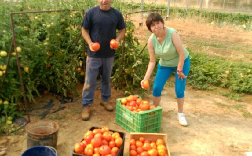 Centro Ocupacional#8