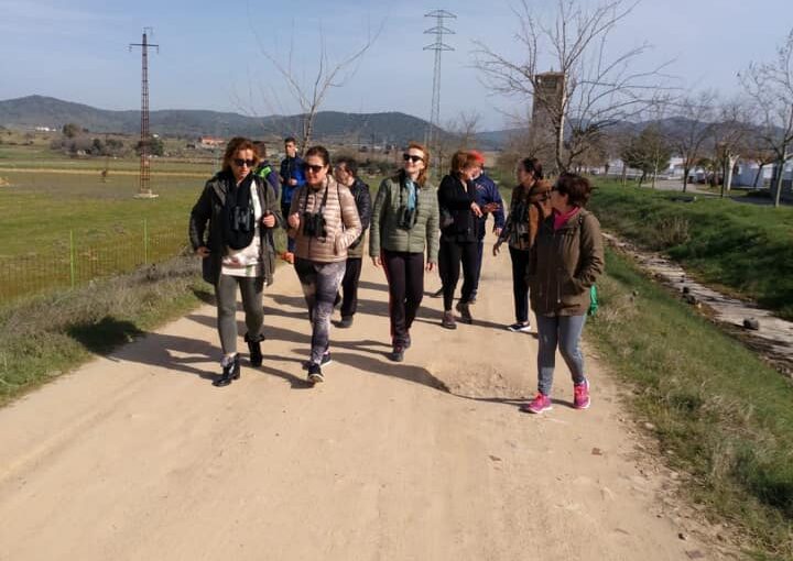 Taller de Hermanos#5