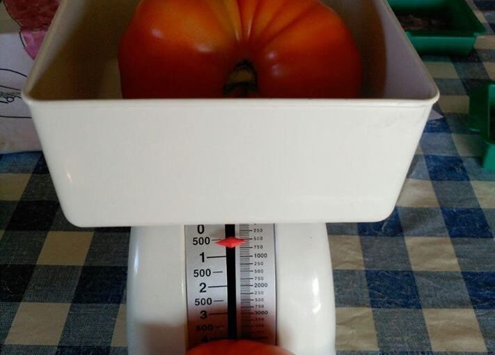 Centro Ocupacional#18